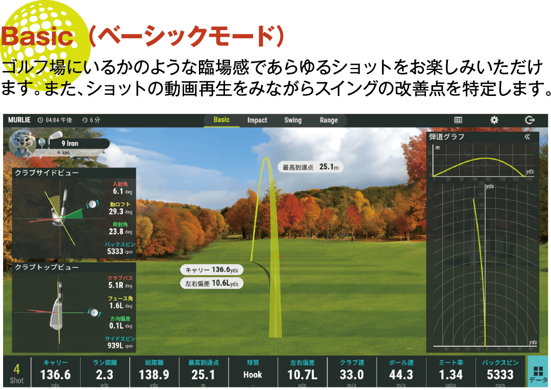 ベーシックモード